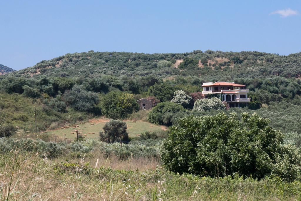 Alexandra Villa 斯塔罗斯 外观 照片